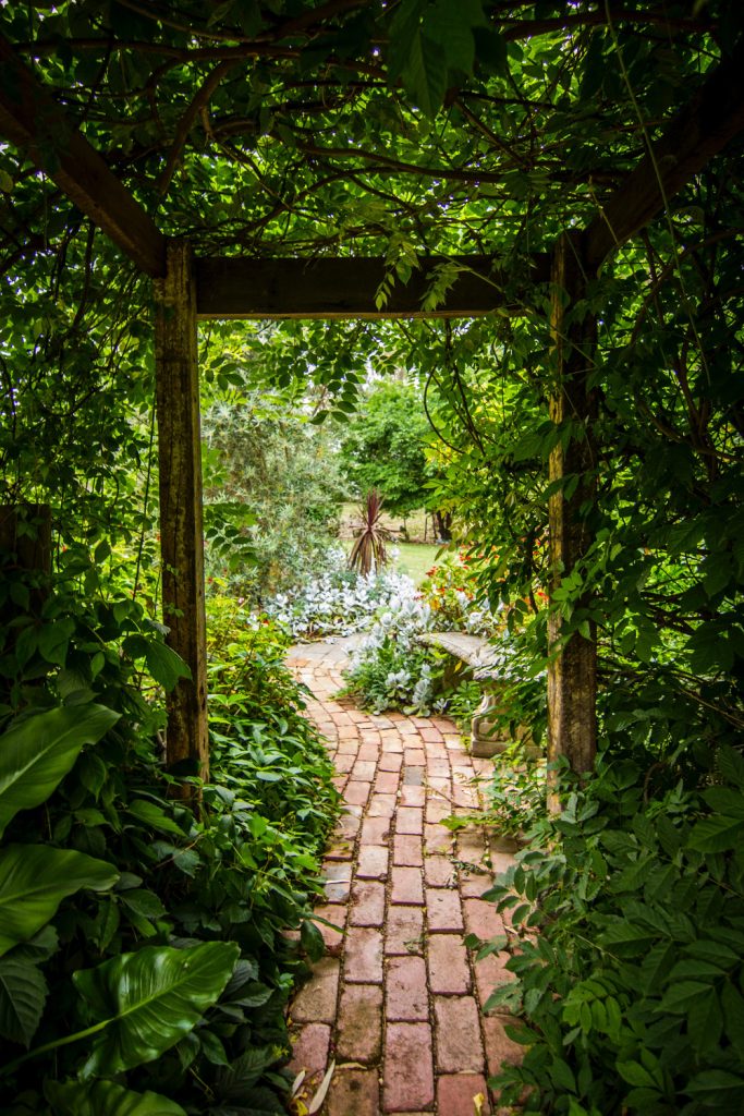 allée en pavé dans un jardin
