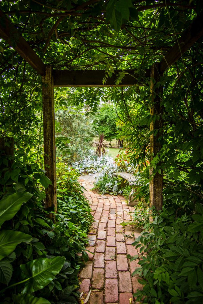 allée en pavé dans un jardin