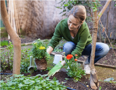 femme faisant des plantations au jardin