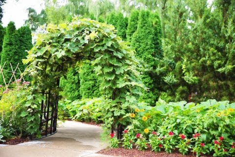 Comment faire une arche de jardin ?